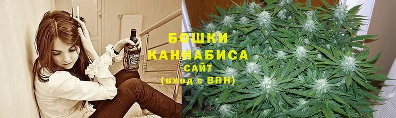 купить  сайты  Губкинский  Канабис план 